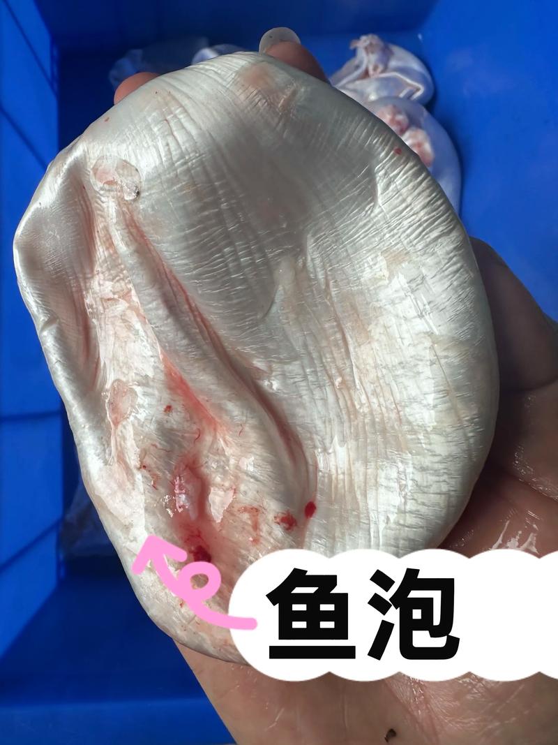 鱼泡泡202012
