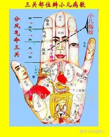 小孩指纹三关怎么看