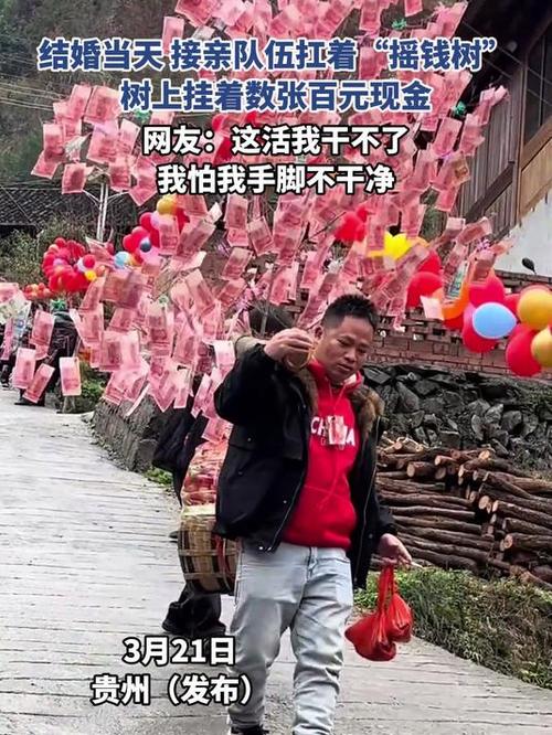 天天领现金摇钱树