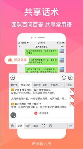 微脉输入法2.5.30版本