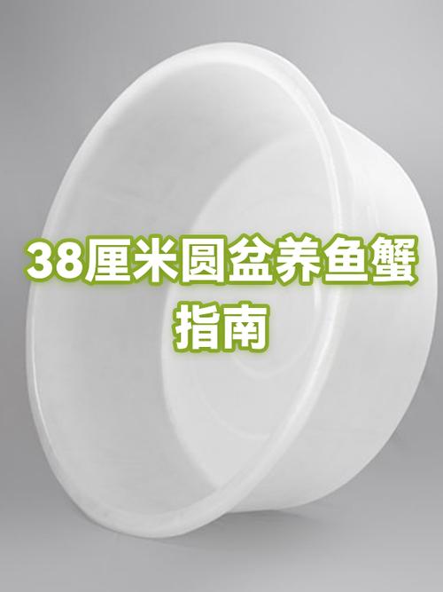 鱼缸养蟹会被淹死吗图标
