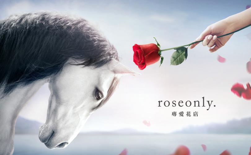 roseonly广告
