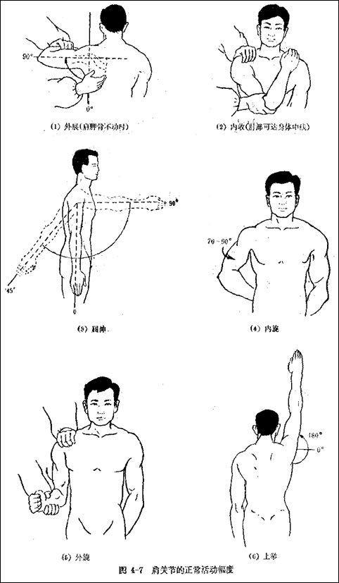 手臂关节技图标