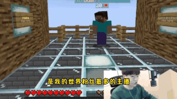 我的世界粉丝最多的主播是谁