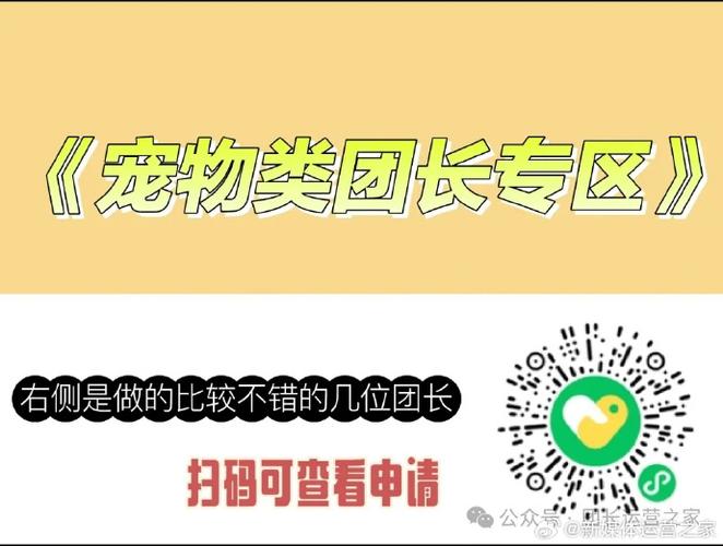 和快团团类似的小程序图标