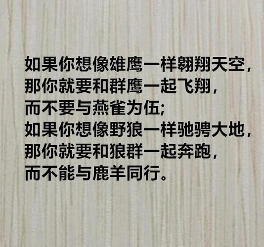 宁愿与狼为伍经典句子截图