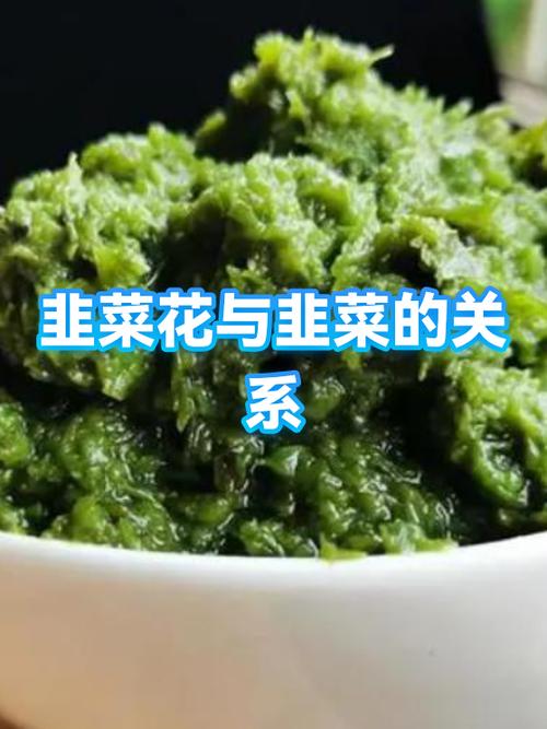 韭花和韭菜是什么关系