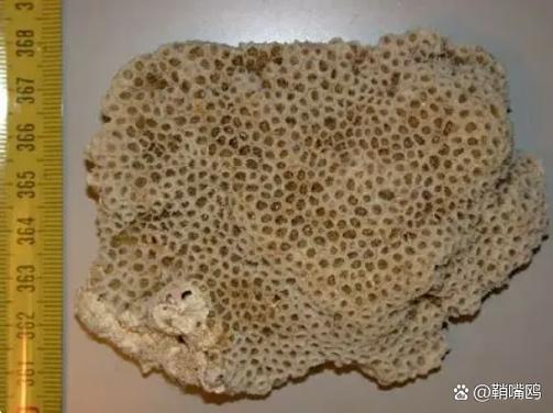 石头怎么漂白成白色的