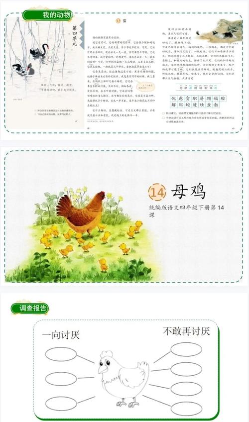 阿姑看母鸡铃声图标