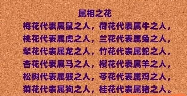 花朝节代表什么生肖
