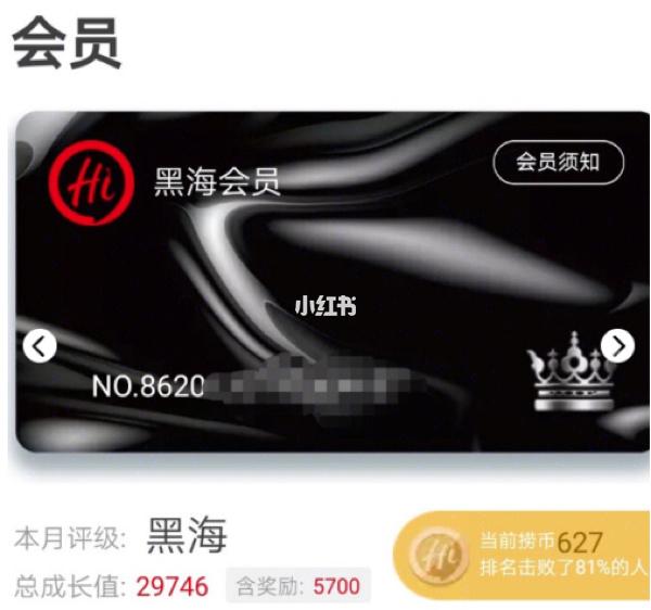 黑海会员有什么待遇