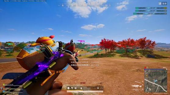 pubg国际版亚服截图