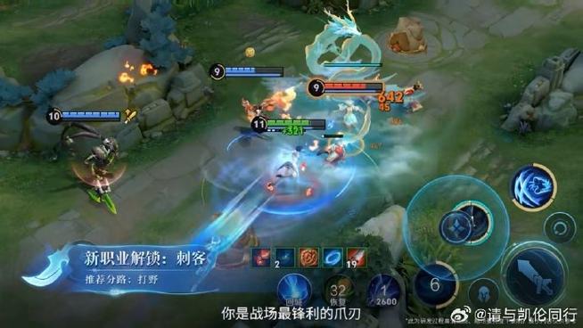 打野为什么战士刺客多