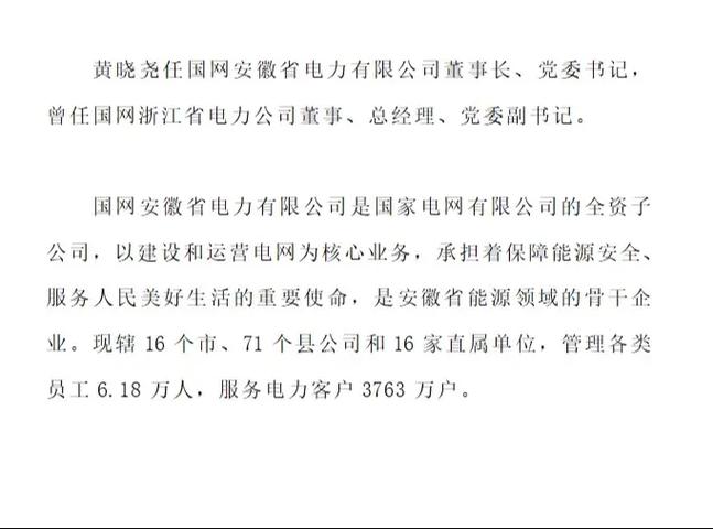 安徽电力集团董事长