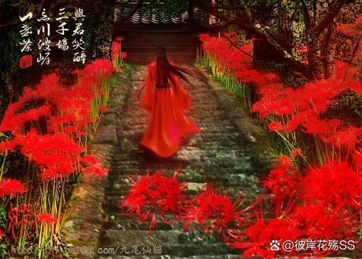 彼岸花暗示什么女人