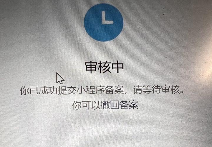 已受理,等待初审截图
