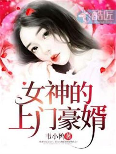 免费阅读小说豪婿新笔下文学