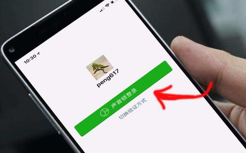 手机不支持声音锁怎么设置