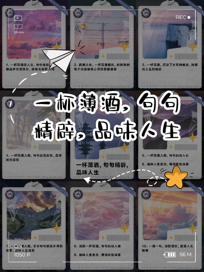 薄酒的主要内容