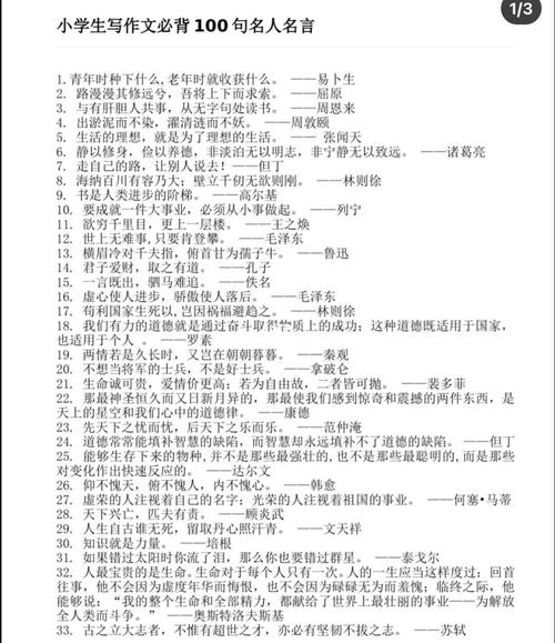美文摘抄加旁批图标