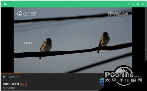 qq音乐收藏的mv在哪看