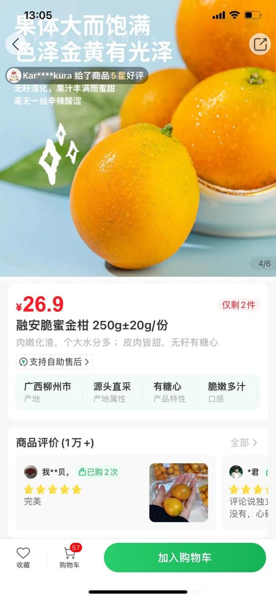 广西融安金桔价格