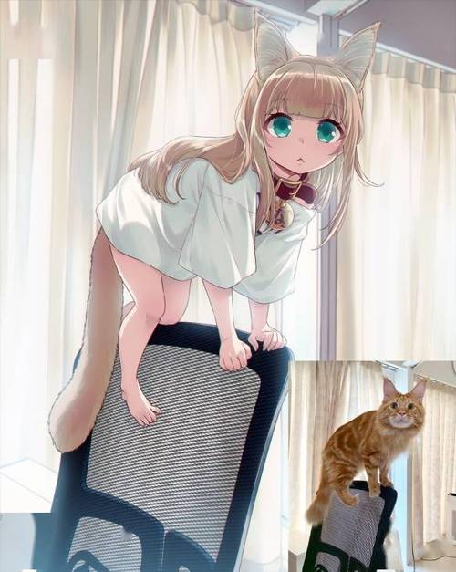 二次元之家暖暖喵星人