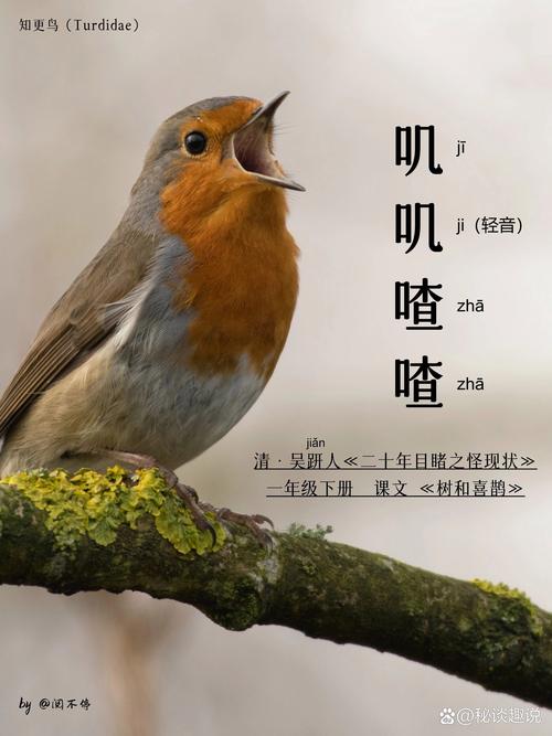 唧唧咋咋叽叽喳喳