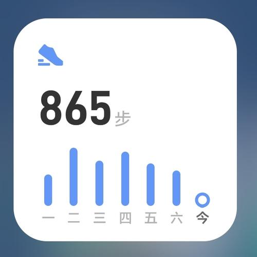 步数