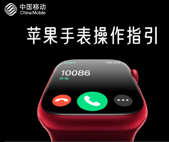 苹果手表电信号码添加时显示退订业截图