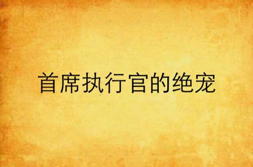 首席执行官的绝宠截图