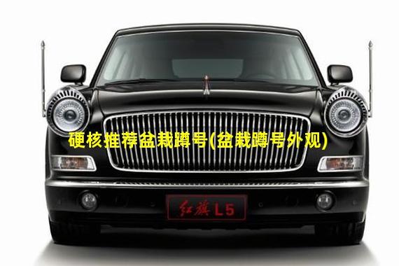 盆栽蹲号