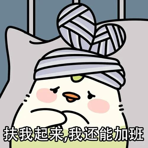 菜鸡为什么进不去