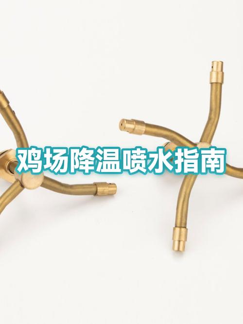 鸡舍降温的五大方法