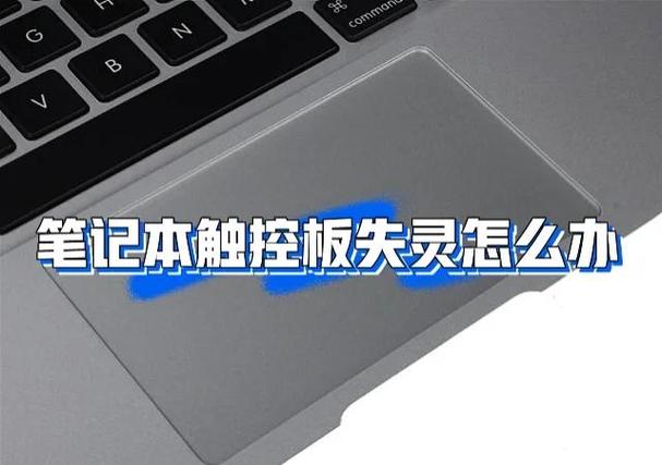 触摸板总是失灵重启又好了