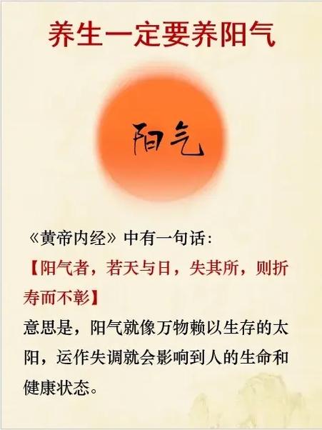 黄帝内经谁讲得最好