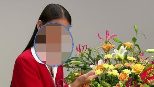人脸跟踪马赛克