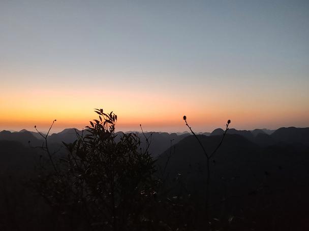 修女与光芒无法到达的森林攻略