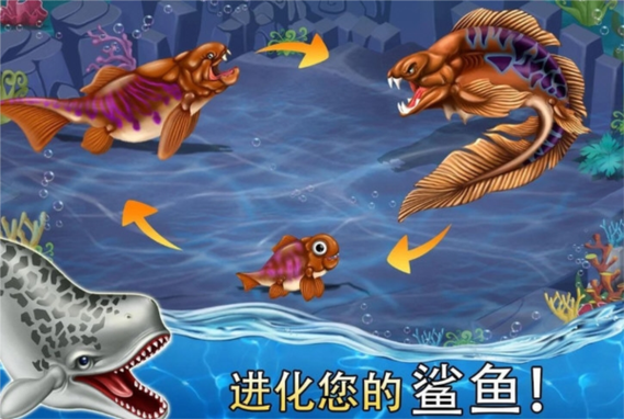 鲨鱼世界无限资源版