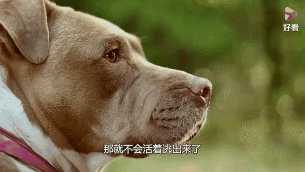 做比特币被警察带走