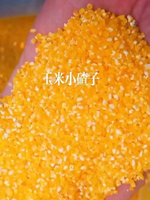 小碴子是什么