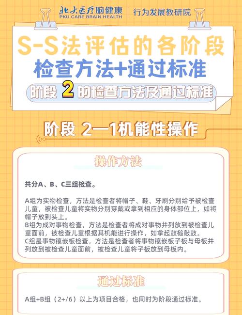 S级评分的含义