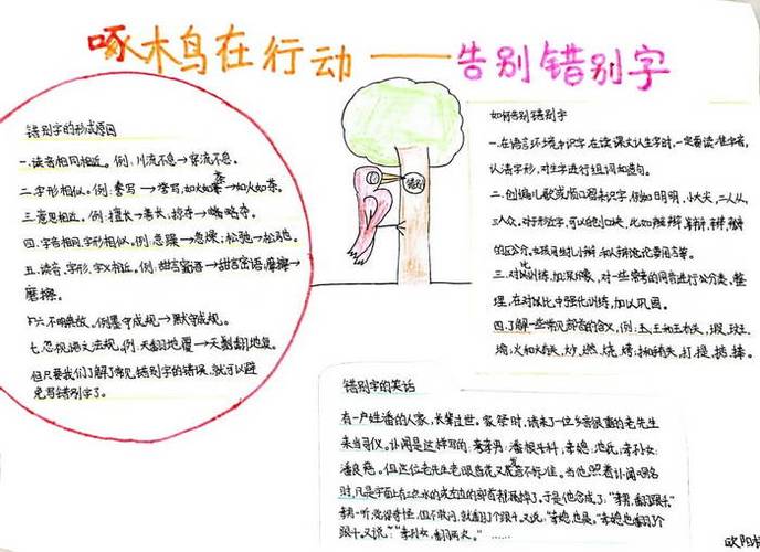 啄木鸟行动内容资料