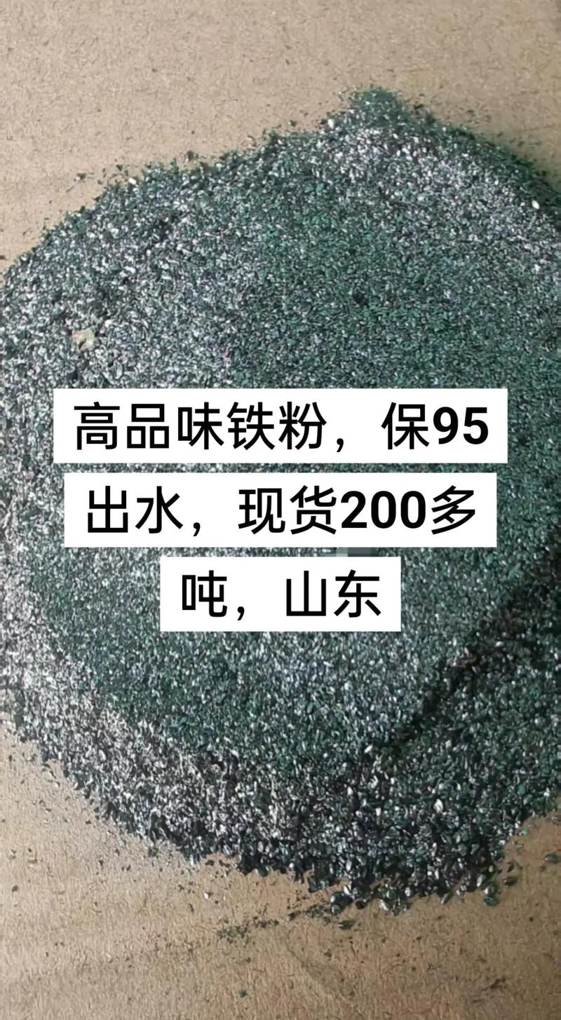咋样在一天内成为铁粉截图