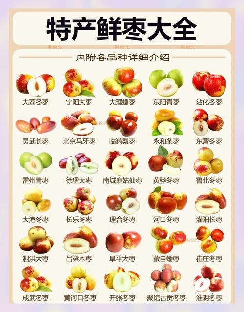 红枣最好三个品种