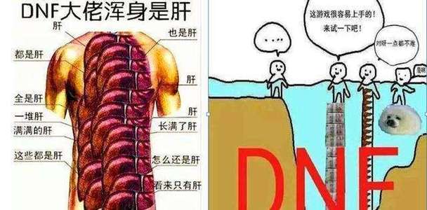 肝神