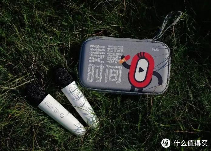 麦克风一说话就炸麦
