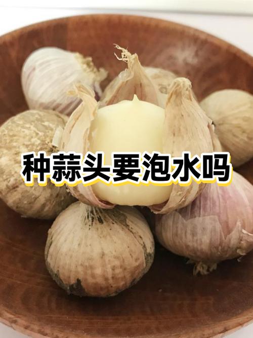 大蒜的功效作用