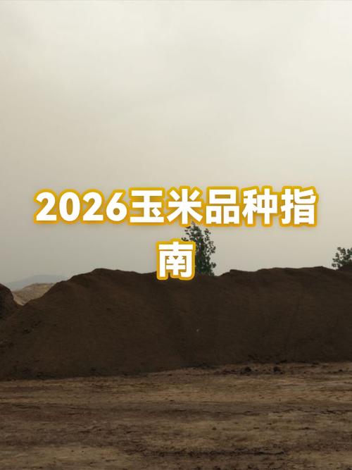 2026最火玉米品种缩略图