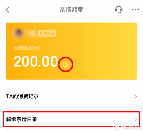 存100元到小金库开白条截图